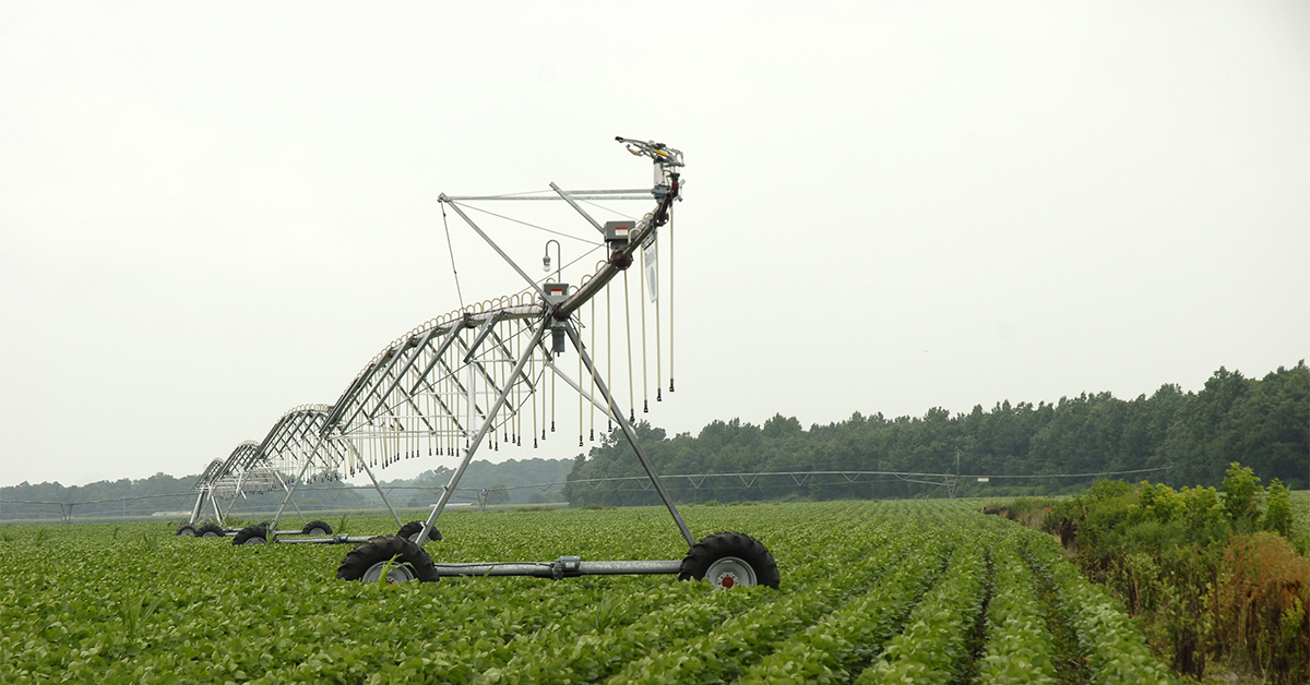 Irrigation Management Irrigation